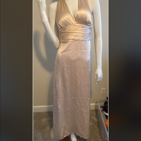 Nicole Miller Champagne Floor Length Dress - Picture 9 of 14